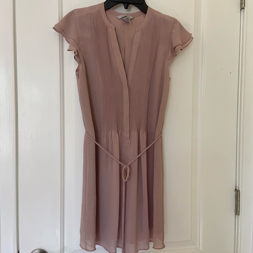 H&M Rose Shift Dress Sz 2
